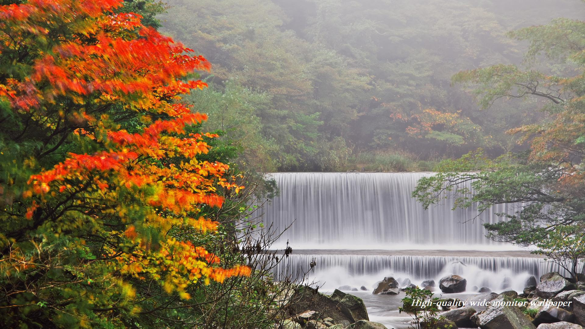 すべての花の画像 無料印刷可能自然 風景 デスクトップ 壁紙