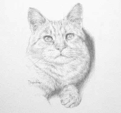 最新のhd猫 イラスト リアル 鉛筆 ディズニー画像のすべて