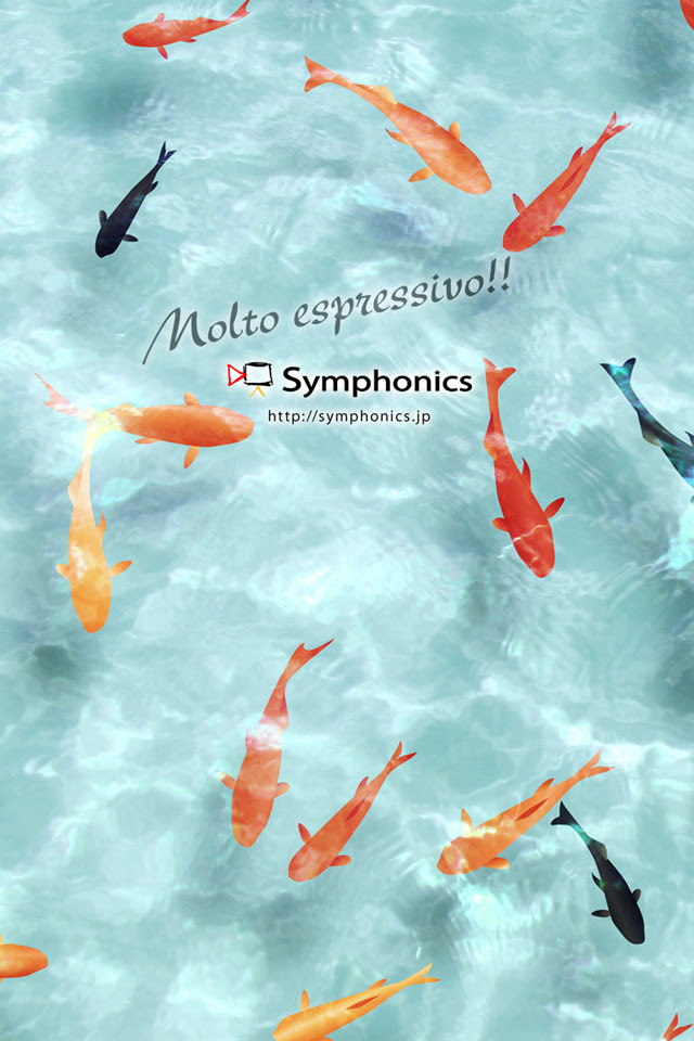元のiphone 壁紙 金魚 最高の花の画像