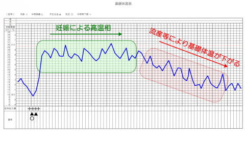 年のベスト 妊娠初期 体温 下がる 最優秀作品賞