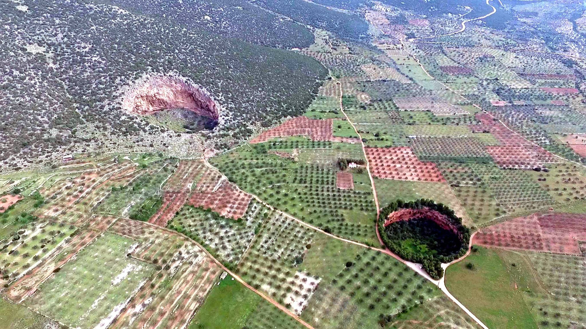 Î‘Ï€Î¿Ï„Î­Î»ÎµÏƒÎ¼Î± ÎµÎ¹ÎºÏŒÎ½Î±Ï‚ Î³Î¹Î± ÎºÏÎ±Ï„Î®ÏÎµÏ‚ Î‘ÏÎ³Î¿Î»Î¯Î´Î¿Ï‚