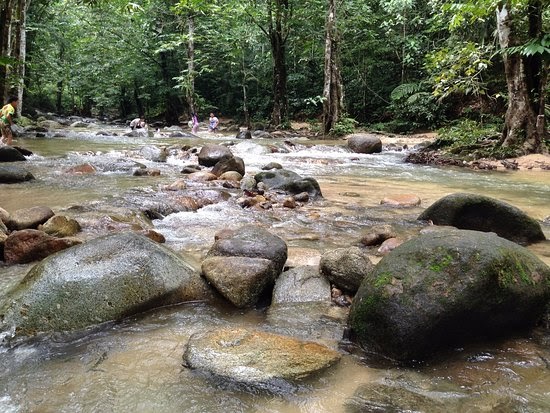 hutan lipur sungai tua