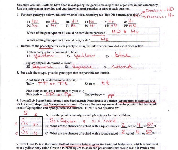 Amoeba Sisters Genetic Drift Answer Key - video recap of ...