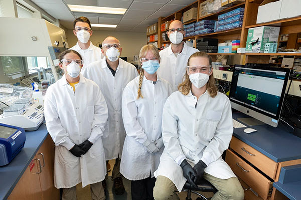 Imagen grupal de seis científicos posando en el laboratorio con máscaras, gafas de seguridad y batas de laboratorio
