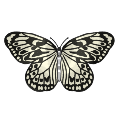 最高のイラスト画像 ラブリーかわいい 蝶 イラスト 簡単