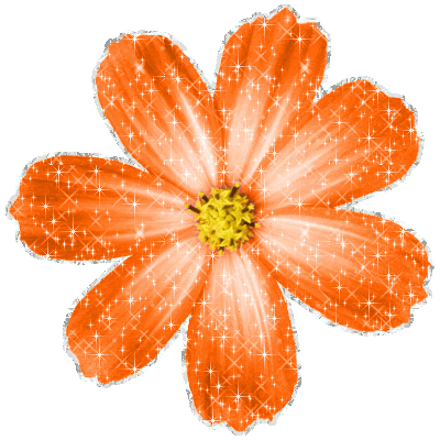 http://www.commentnation.com/comments/orange_glitter_flower.gif