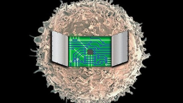 Cancer new treatment using synthetic biology. Regulating with synthetic gene networks the dosage, timing, and localization of gene expression to this means