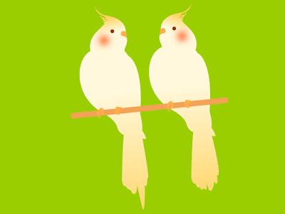 すべての花の画像 スマホ オカメインコ 壁紙