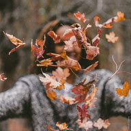 Thanksgiving, leaves