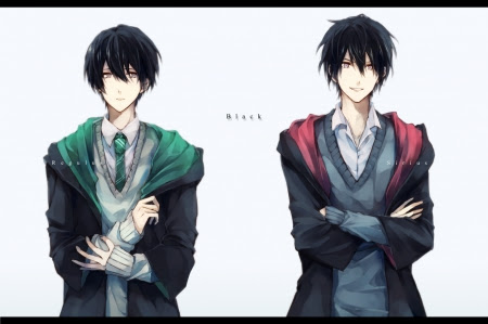 Often, it is because of their appearance or probably something in their attitude. Regulus And Sirius Black Other Anime Background Wallpapers On Desktop Nexus Image 1612842