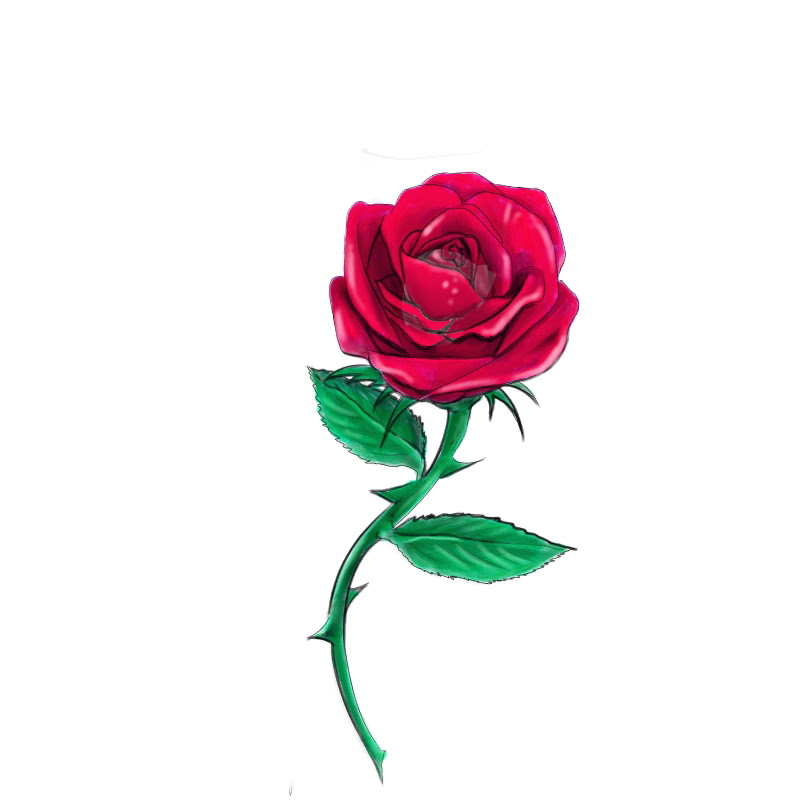 Red Rose Images Drawing