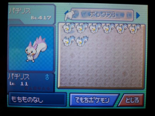 ダウンロード済み ポケモン プラチナ パチリス ポケモン プラチナ パチリス 育成論