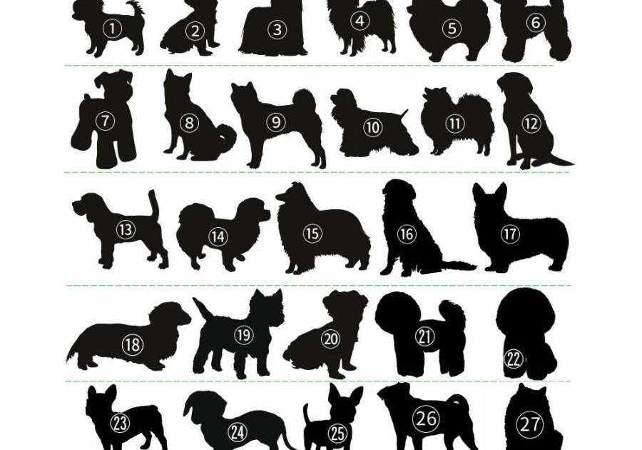 最も好ましい シルエット 犬 後ろ姿 イラスト Okepictws0o