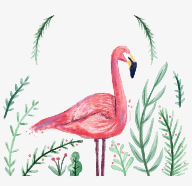  Gambar Kartun Burung Flamingo  Gambar  Kartun 