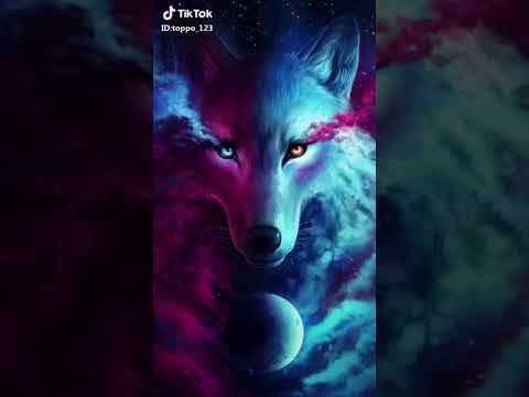 ベスト50 スマホ 狼 壁紙 最高の花の画像