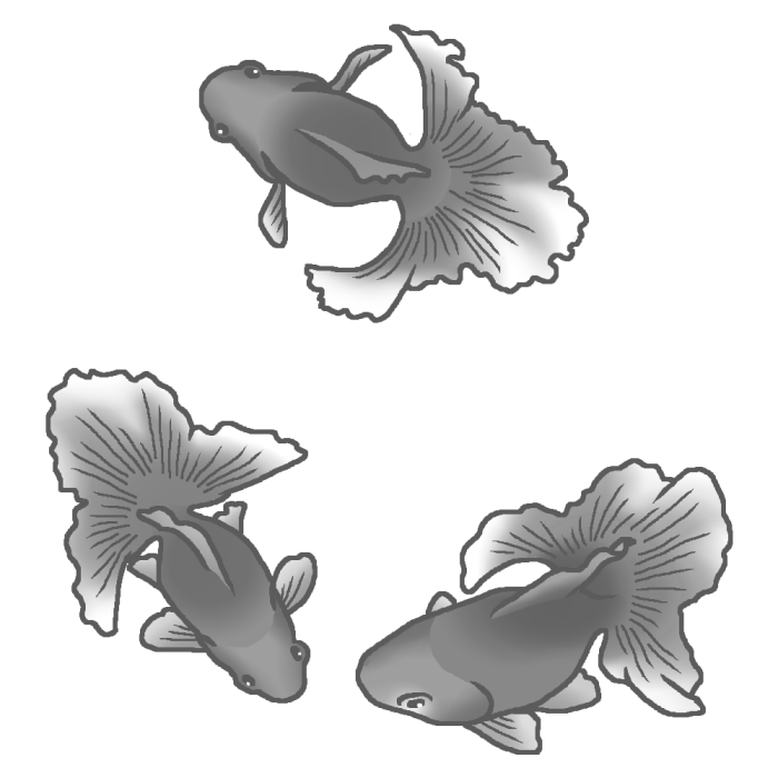 いろいろ 白黒 モノクロ 金魚 イラスト