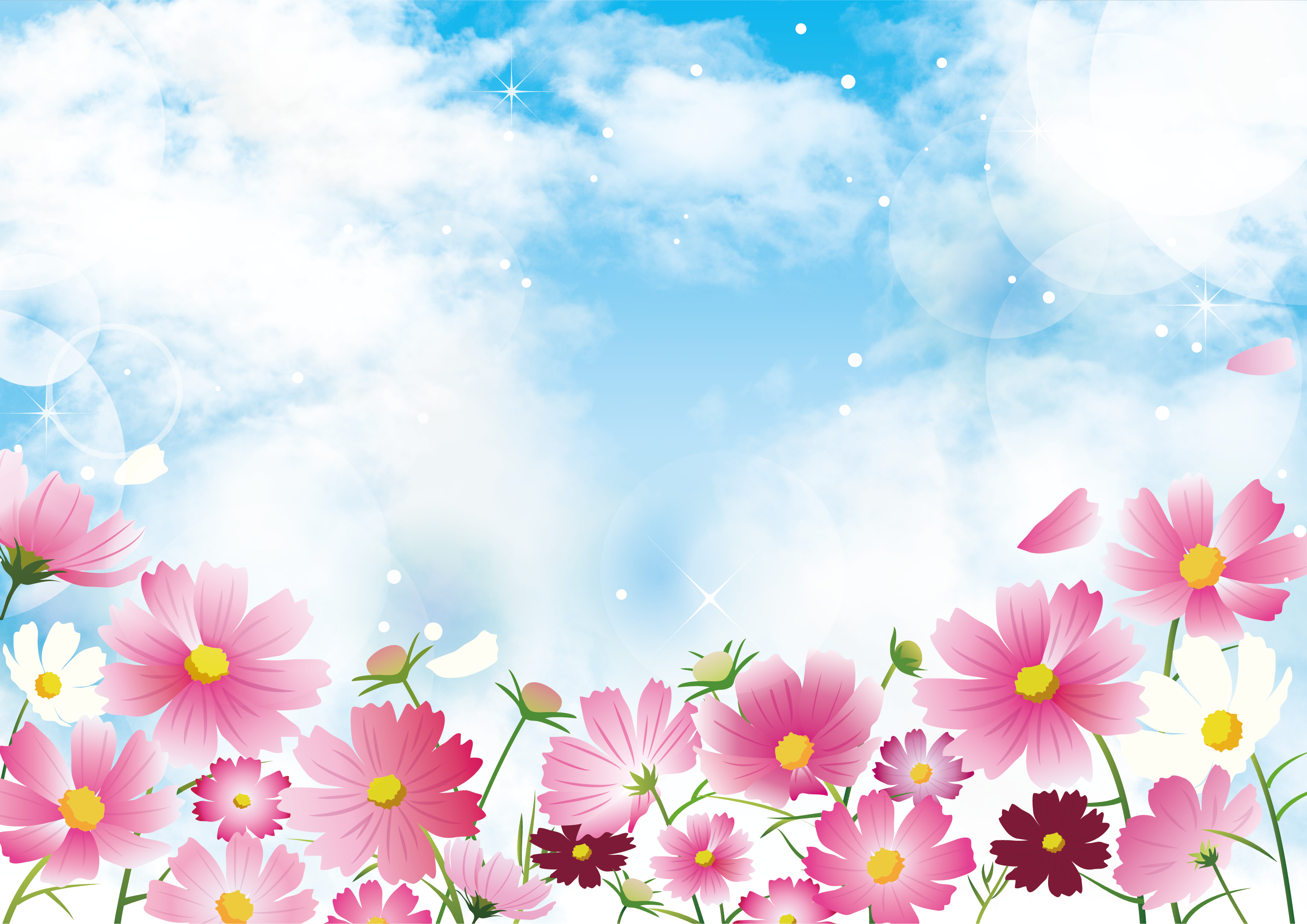 無料ダウンロードコスモス 壁紙 イラスト 最高の花の画像