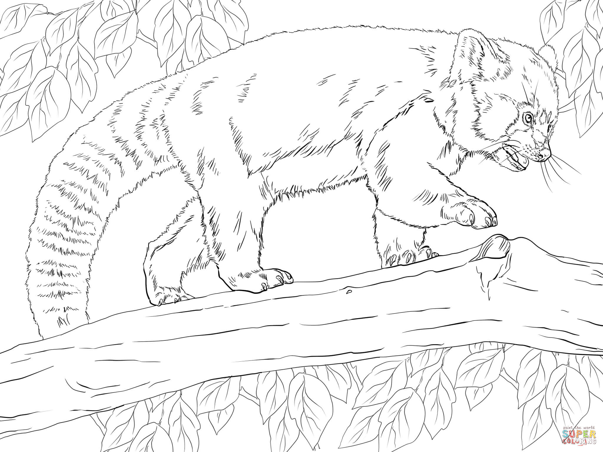 Panda Schattige Baby Dieren Kleurplaten Coloring And Drawing