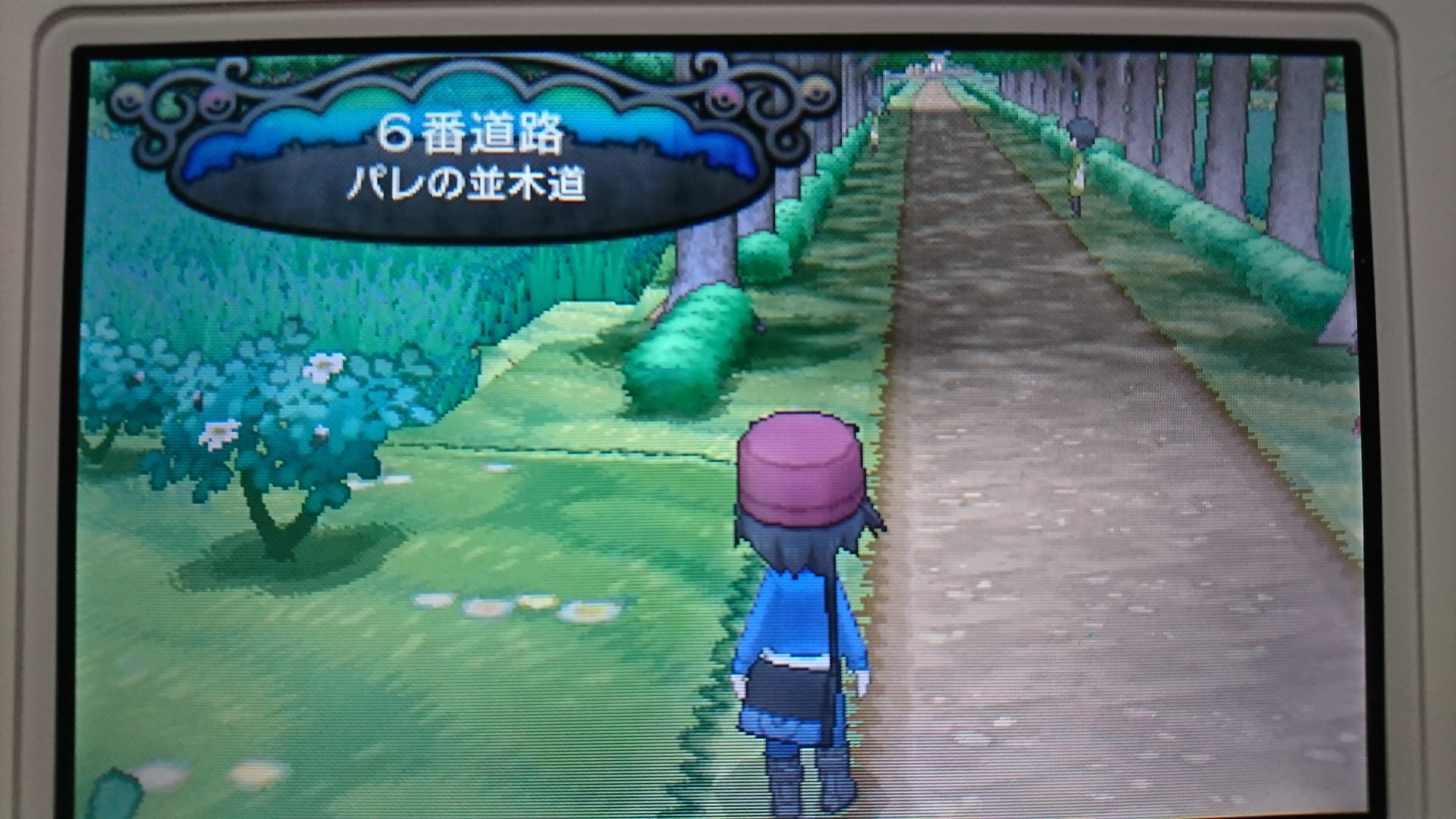 ポケモンxy 13番道路 最高のイラストと図面