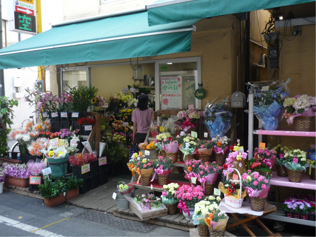 上花 市場 代々木 上原 すべての美しい花の画像