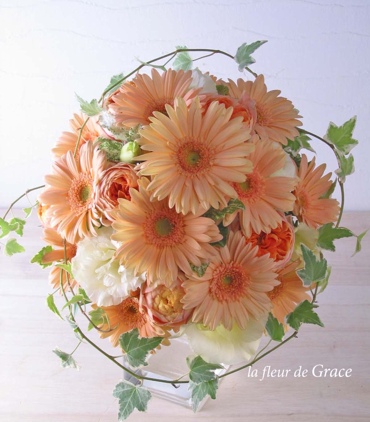 無料印刷可能可愛い ガーベラ 壁紙 最高の花の画像