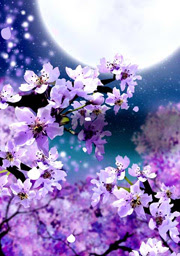 Hd限定待ち受け 和風 幻想 壁紙 最高の花の画像