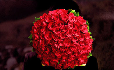 Gambar Bunga Mawar Merah - Toko FD Flashdisk Flashdrive