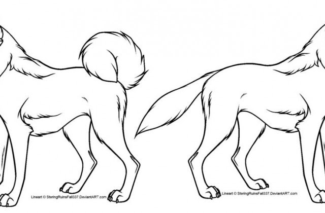 Free Warrior Cat Lineart
