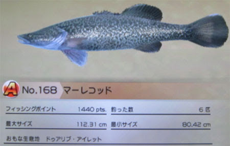 ロイヤリティフリーファミリー フィッシング ランカー バス 魚のすべて