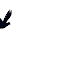 36+ Animated Birds Gif Download Images