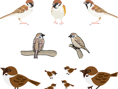 かわいい すずめ イラスト 正面 675257