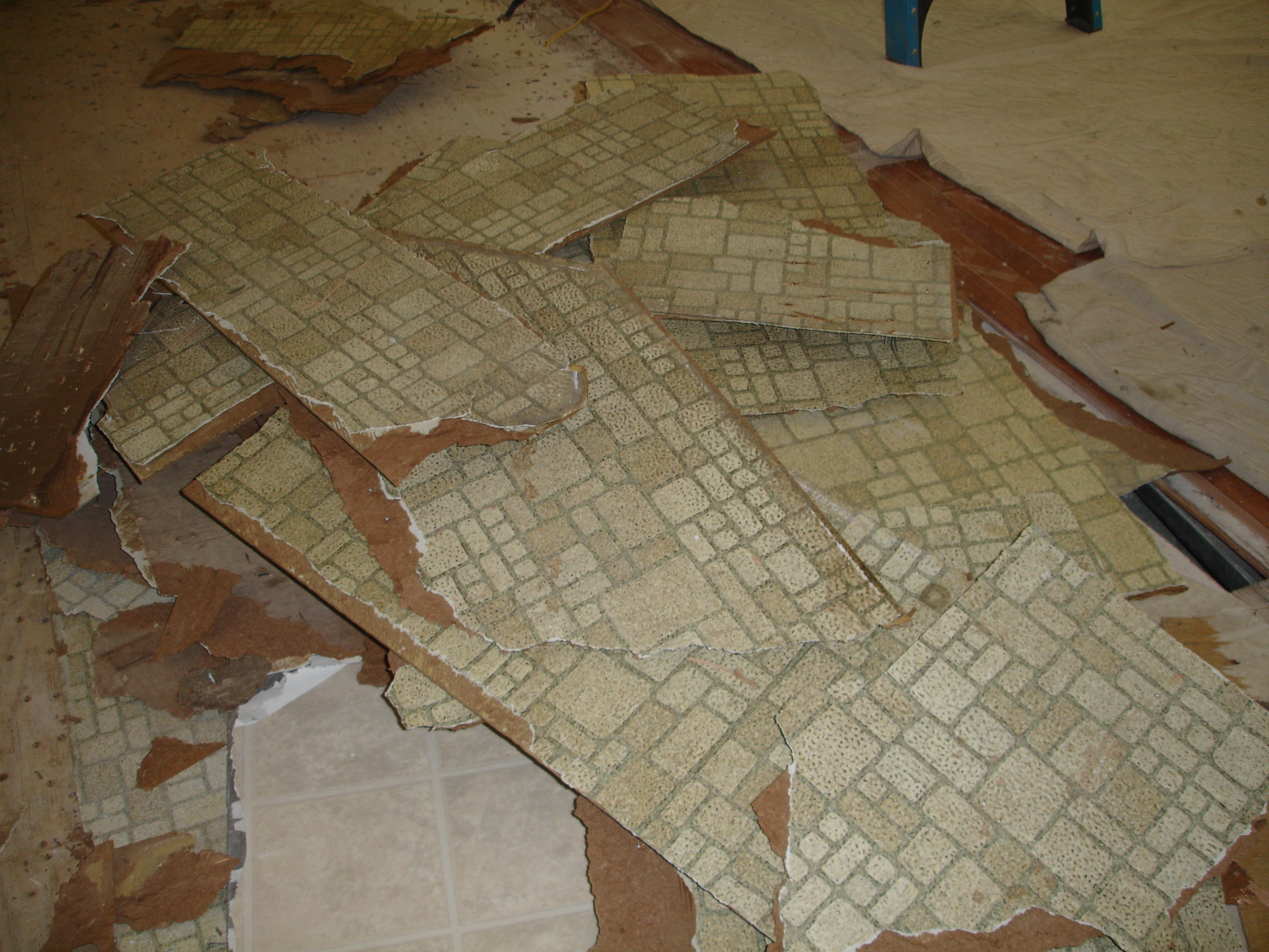 Asbestos Vinyl Sheet Flooring | Floor Matttroy