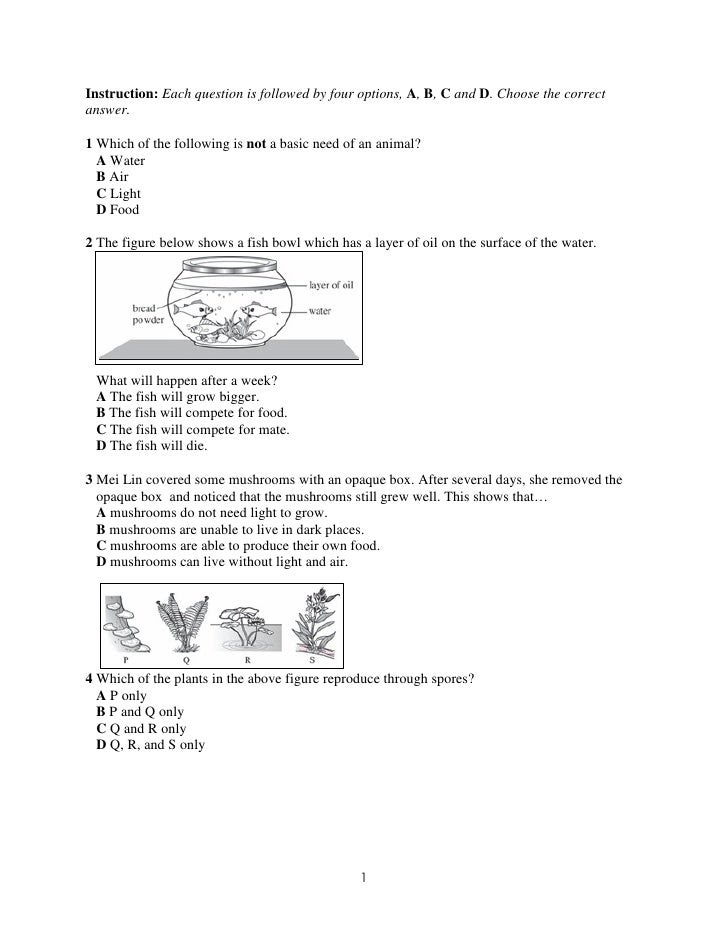 Soalan Matematik Tahun 4 Dlp - Persoalan p