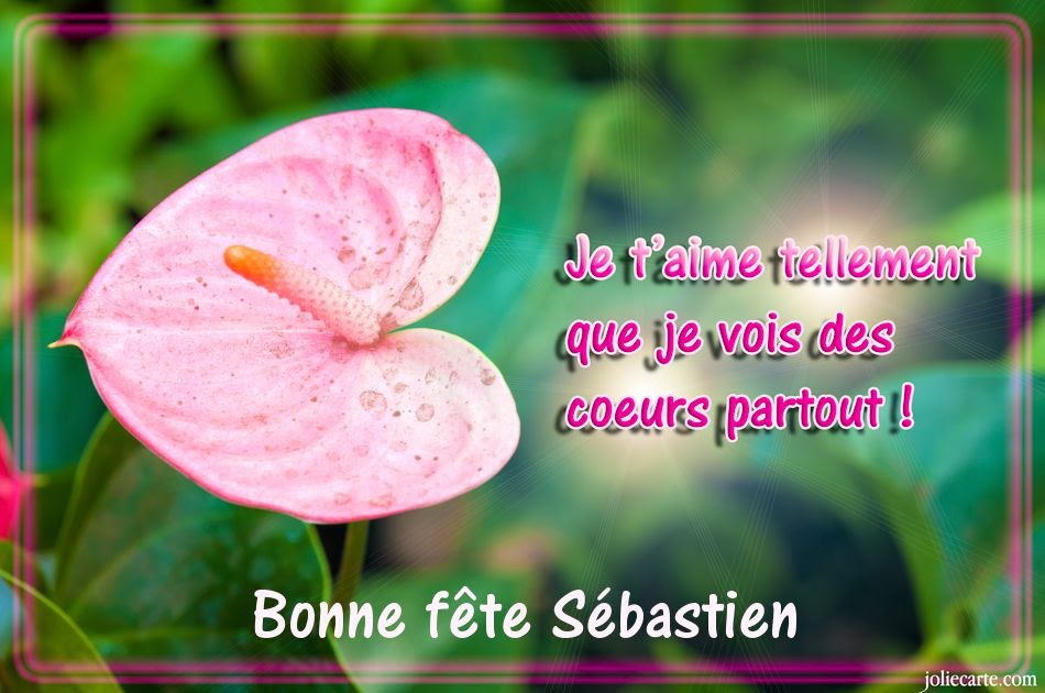 Carte Bon Anniversaire Sebastien Wendie