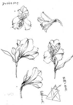 Jozpictsivfmo 書き方 ゆり イラスト 簡単