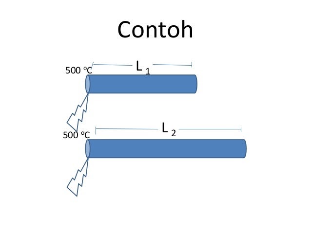 Contoh Hukum Newton 1 Pada Hewan - Agape Locs