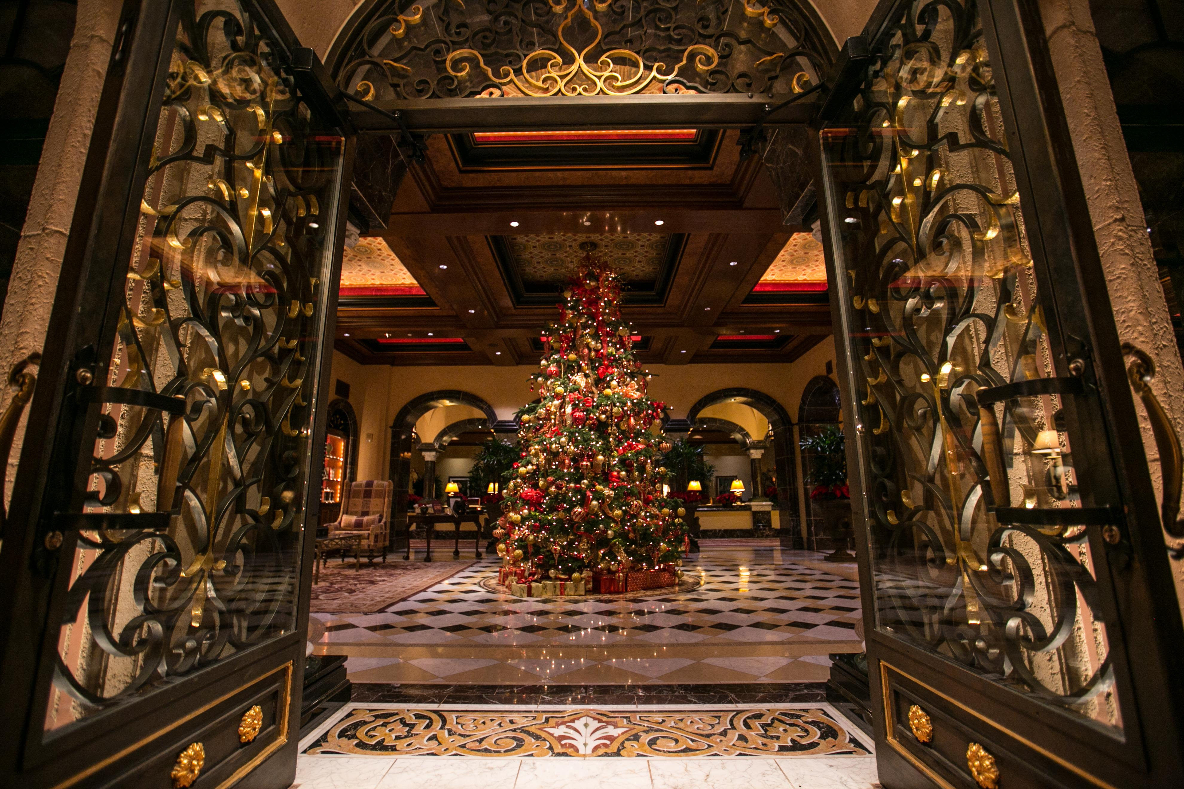 Collection by live golden blog. San Diego Christmas Dining Guide 2016 Socalpulse