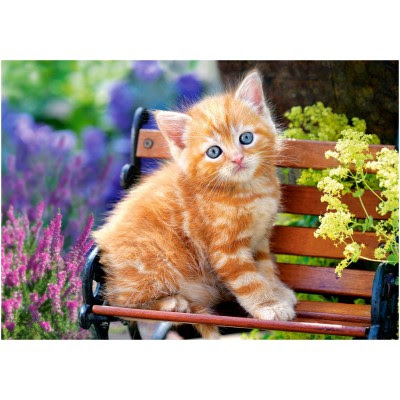 Ravensburger, springbok, pomegranate, heye, ceaco, ny puzzle co, eurographics, educa, and more! Puzzle Ginger Kitten Castorland 52240 500 Pieces Jigsaw Puzzles Cats Jigsaw Puzzle