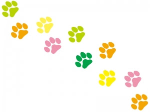 すべての動物の画像 ラブリーフレーム 犬 足跡 イラスト
