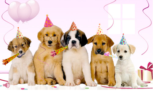 Carte Joyeux Anniversaire Avec Chien Nanaryuliaortega News