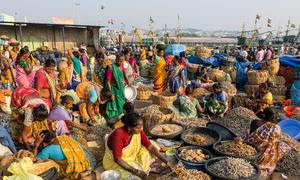 Mujeres vendiendo pescado seco en un mercado de Visakhapatnam, India.