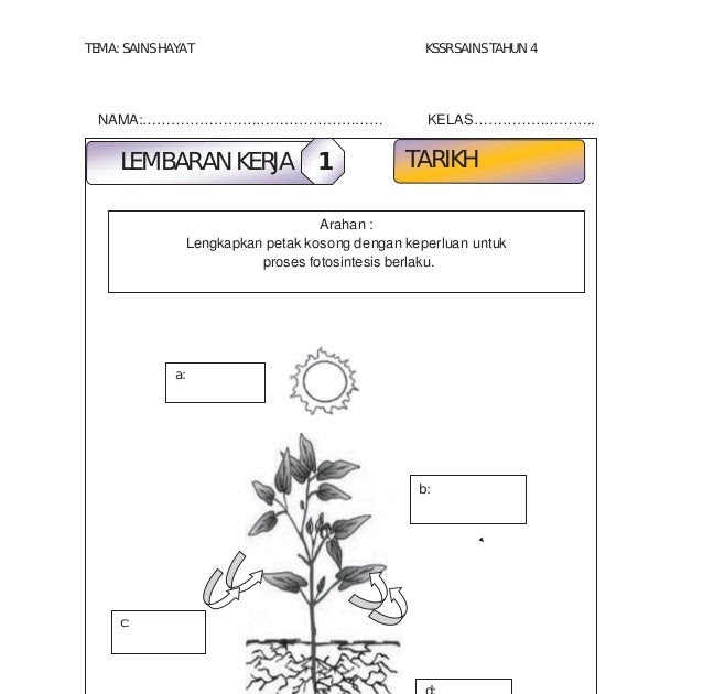 Soalan Sains Tahun 4 Fotosintesis - Selangor j