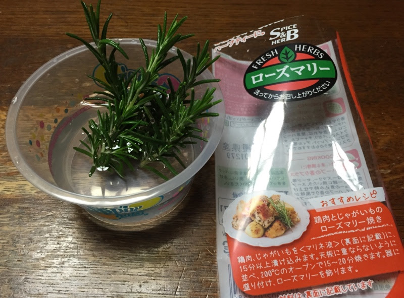 最高ローズ マリー 挿し木 水 挿し すべての美しい花の画像