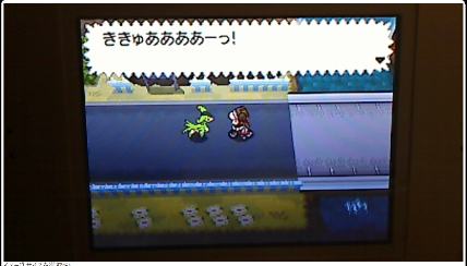トップ 100 ポケモン ブラック ビリジオン 最も人気のある画像