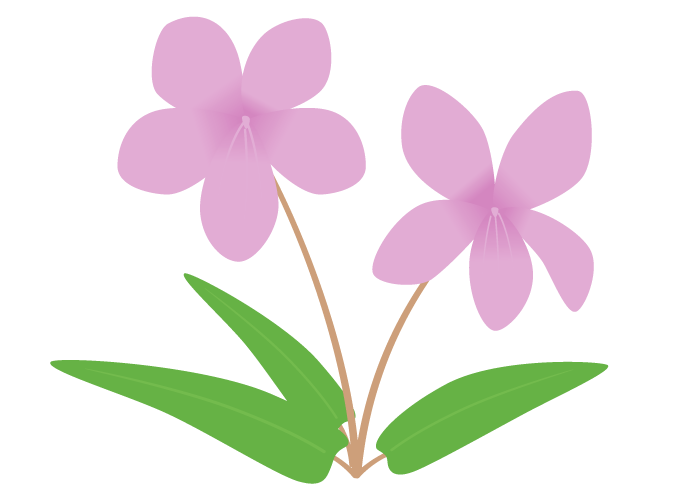 菫 花 イラスト Allis