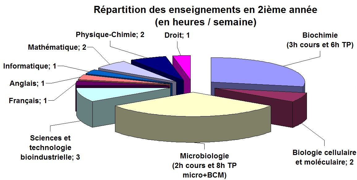 Exemple Rapport De Stage Bts Bioac - Le Meilleur Exemple