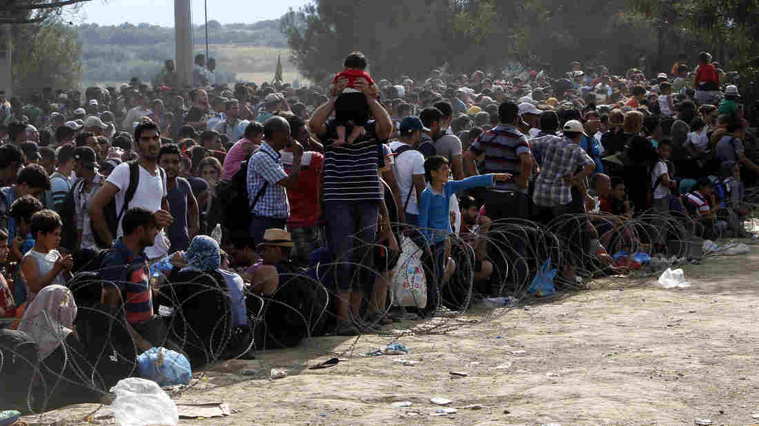 Refugees and illegal migrants reaching border of Macedonia from Greece August 2015