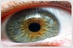 UCV researchers discover the influence of exosomes on age-related macular degeneration