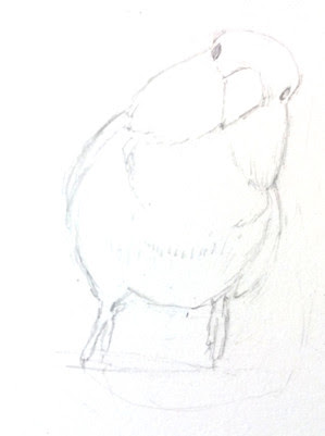 あなたのためのイラスト 元のインコ イラスト 書き方
