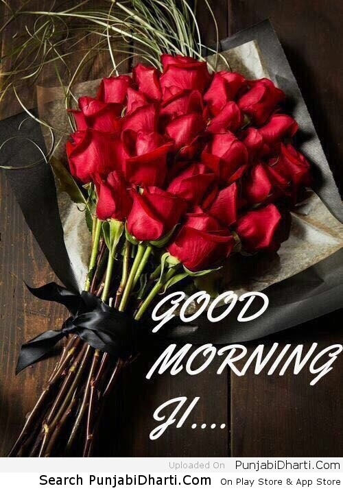 The Best And Most Comprehensive Good Morning Ji Rose Awesome